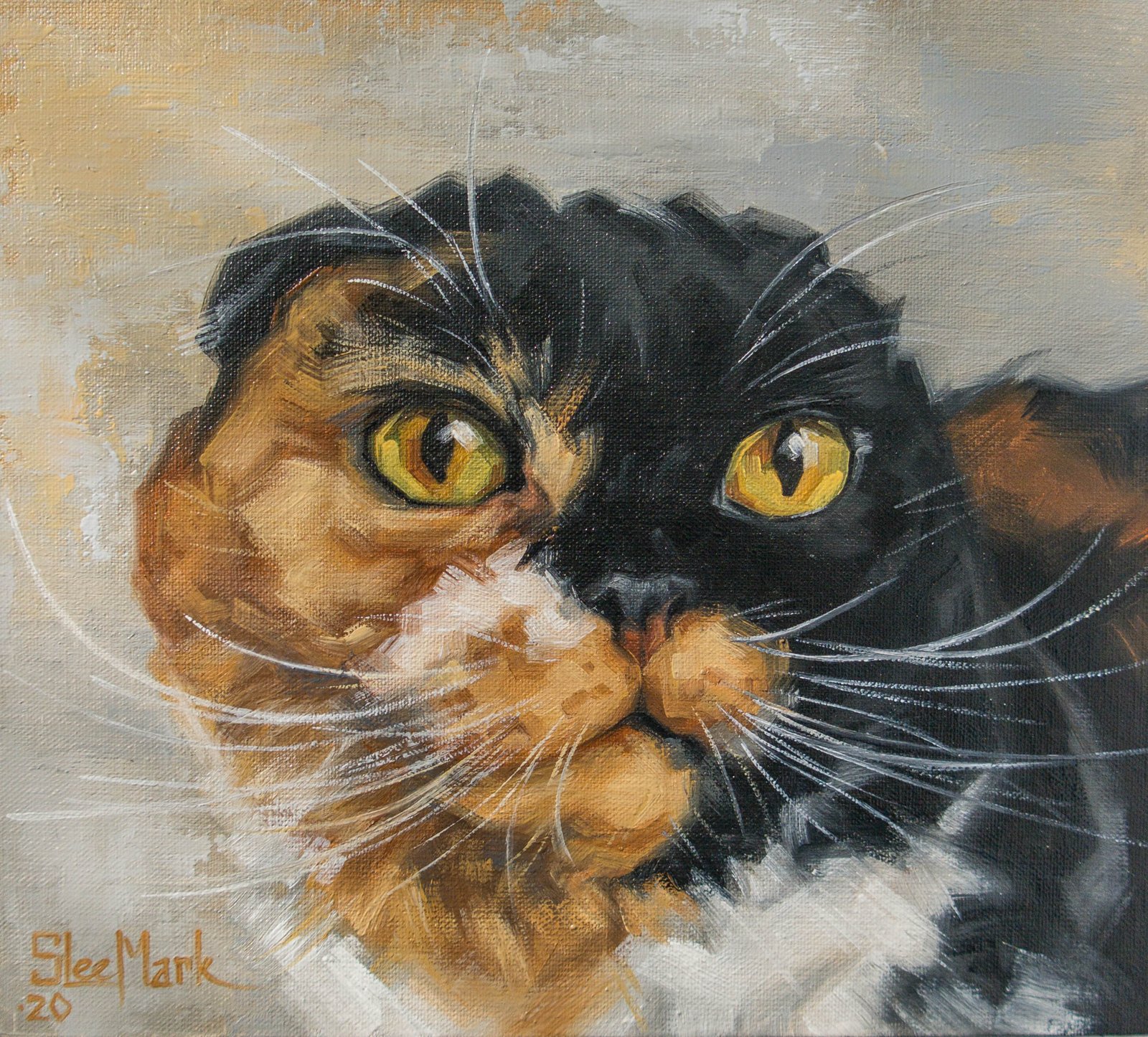 Maisie Original art 8" by S. Lee Mark Cat oil painting Pet portrait Scottish Cat portrait Animal art Home & Living Home Wall Décor Paintings