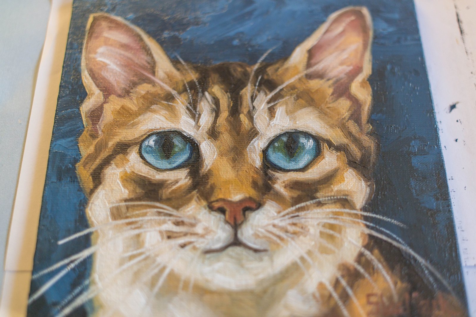 Oliver Original art 6" by S. Lee Mark Cat oil painting Pet portrait Scottish Cat portrait Animal art Home & Living Home Wall Décor Paintings