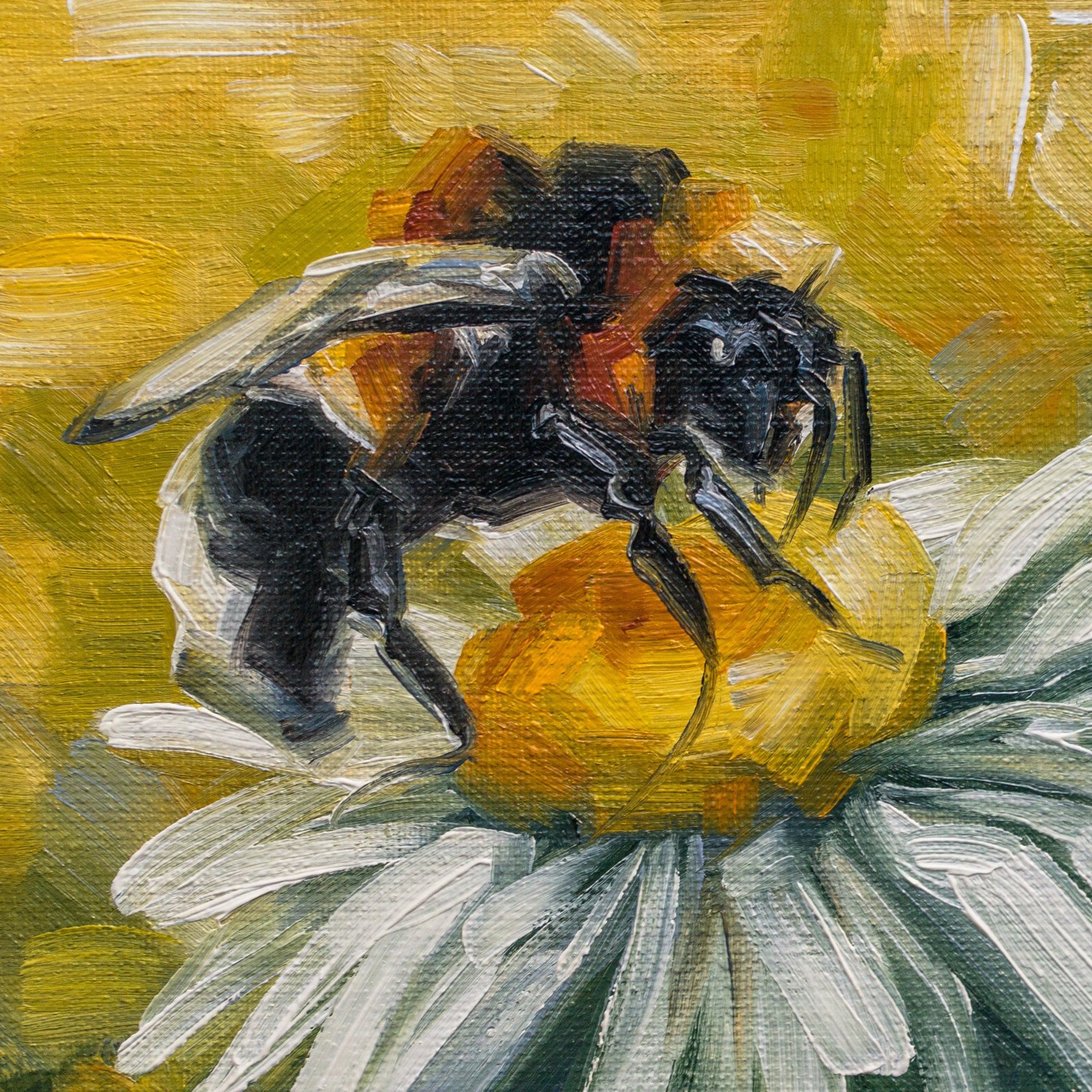 Be a bee Original art 6x6 by S. Lee Mark - Stil life oil painting Bee art chamomile still life flowers painting small art