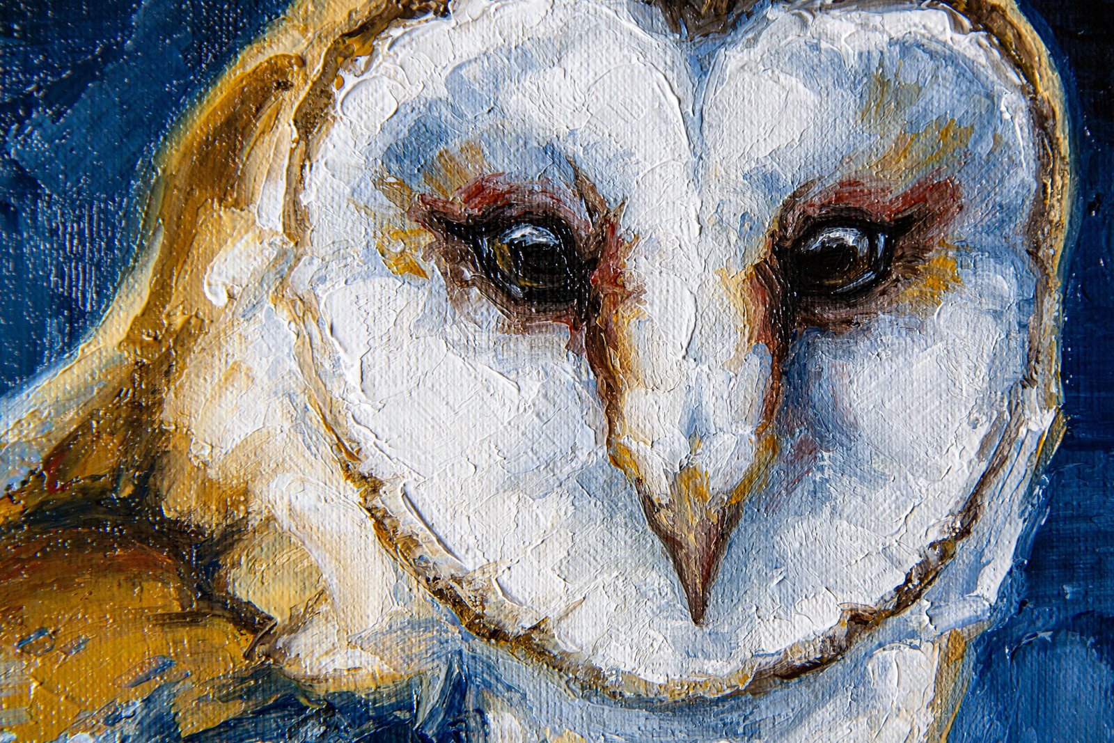 Barn owl Original art 8" by S. Lee Mark Bird oil painting Pet portrait Animal art Home & Living Home Wall Décor Paintings